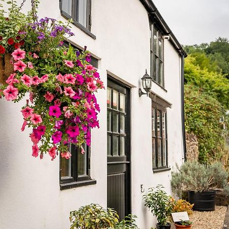 Woodview - Cosy 1840S Cottage In Chew Valley And Mendip Aonb Compton Martin Екстериор снимка