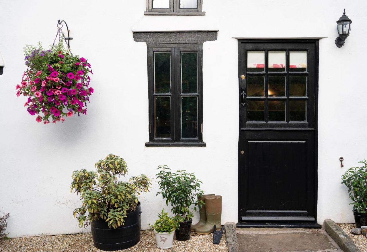 Woodview - Cosy 1840S Cottage In Chew Valley And Mendip Aonb Compton Martin Екстериор снимка