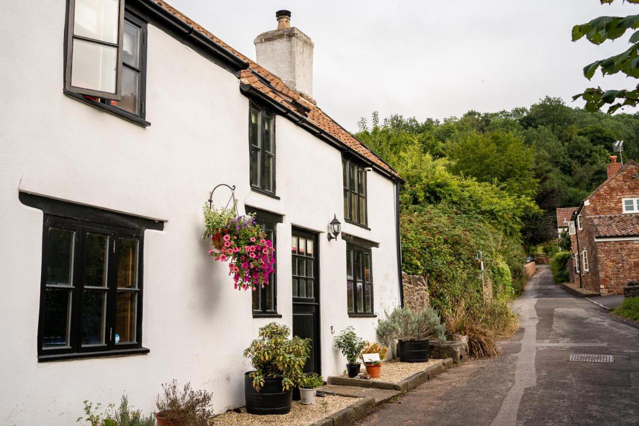 Woodview - Cosy 1840S Cottage In Chew Valley And Mendip Aonb Compton Martin Екстериор снимка