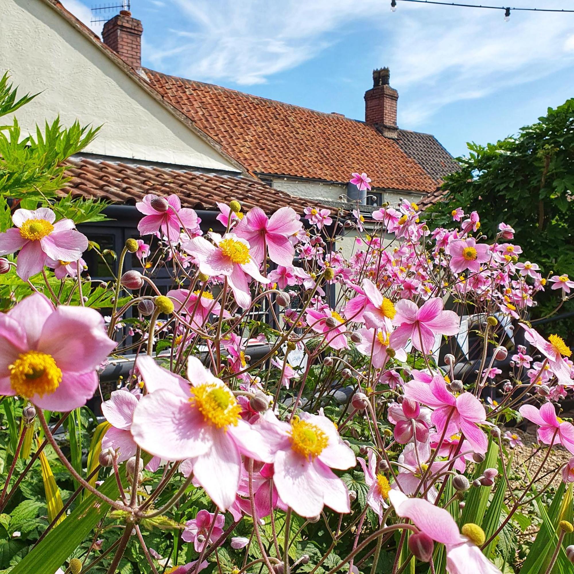 Woodview - Cosy 1840S Cottage In Chew Valley And Mendip Aonb Compton Martin Екстериор снимка
